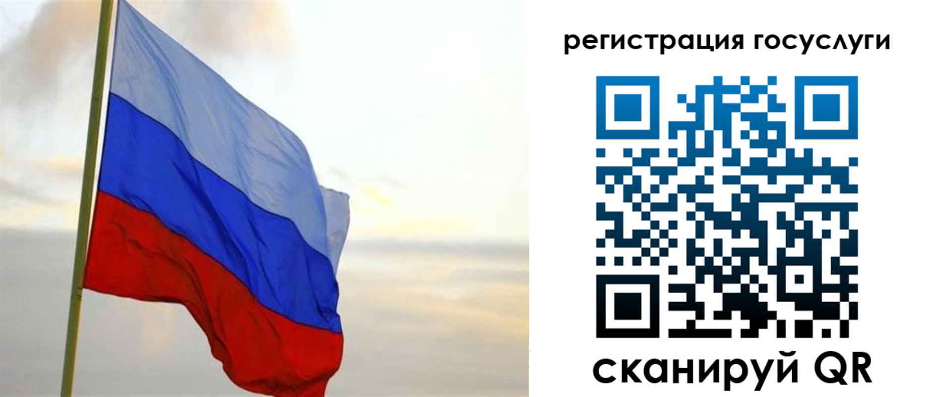 форма 3 в Шебекино